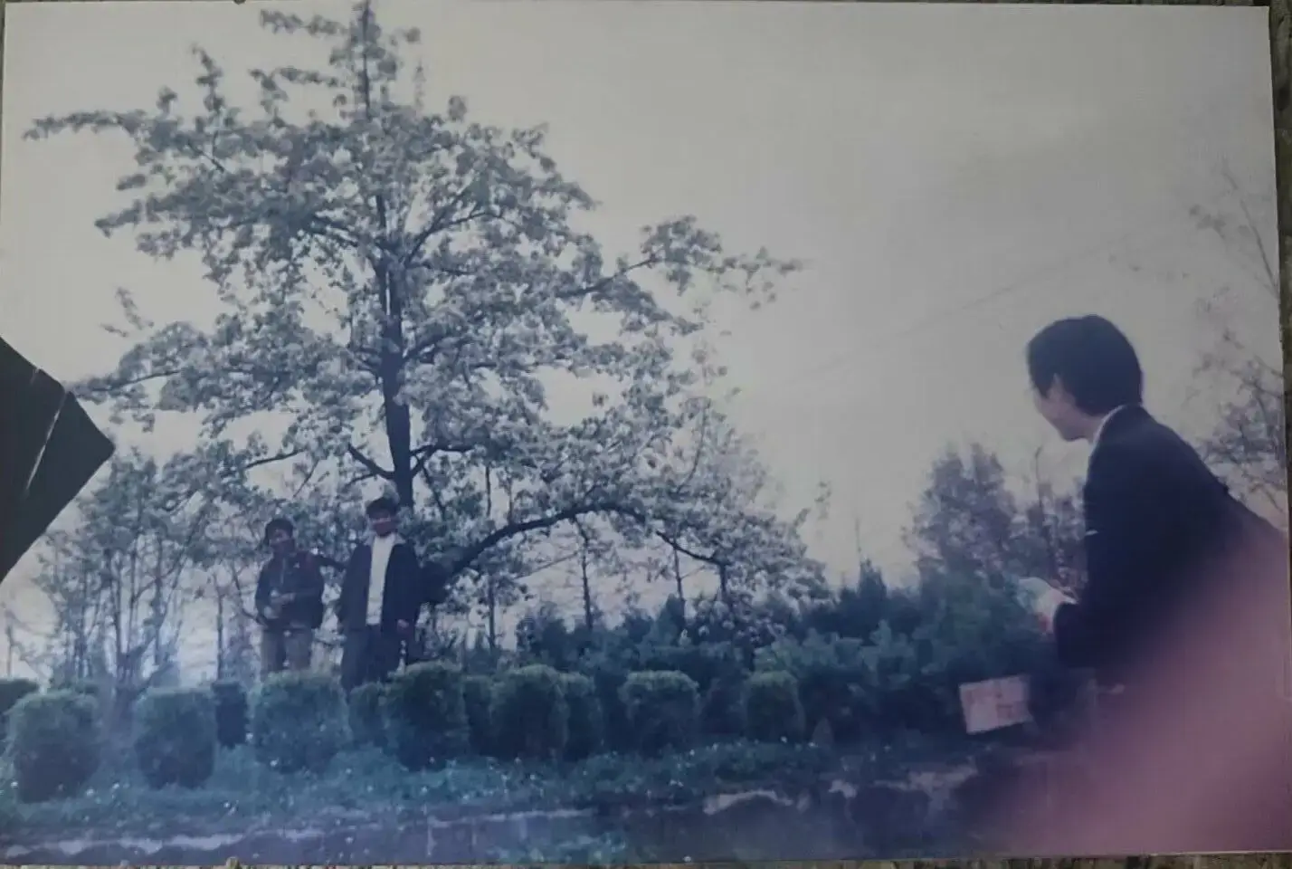 2006年同学重聚，岁月不老，友谊不散。